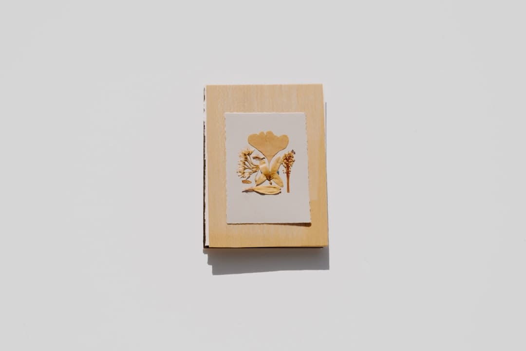 全面拓宽区域经济合作 引领上合安排高质量开展